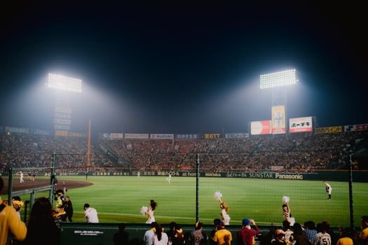 baseball stadium crowd night game korea jamsil