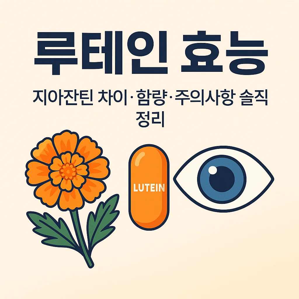 루테인 효능 지아잔틴 차이·함량·주의사항 솔직 정리