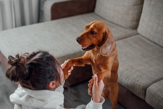 dog owner bond love trust happy together pet care
