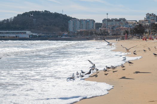 summer beach travel Korea ocean waves sunny day