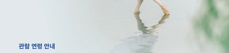백조의 호수 관람연령 공식 안내