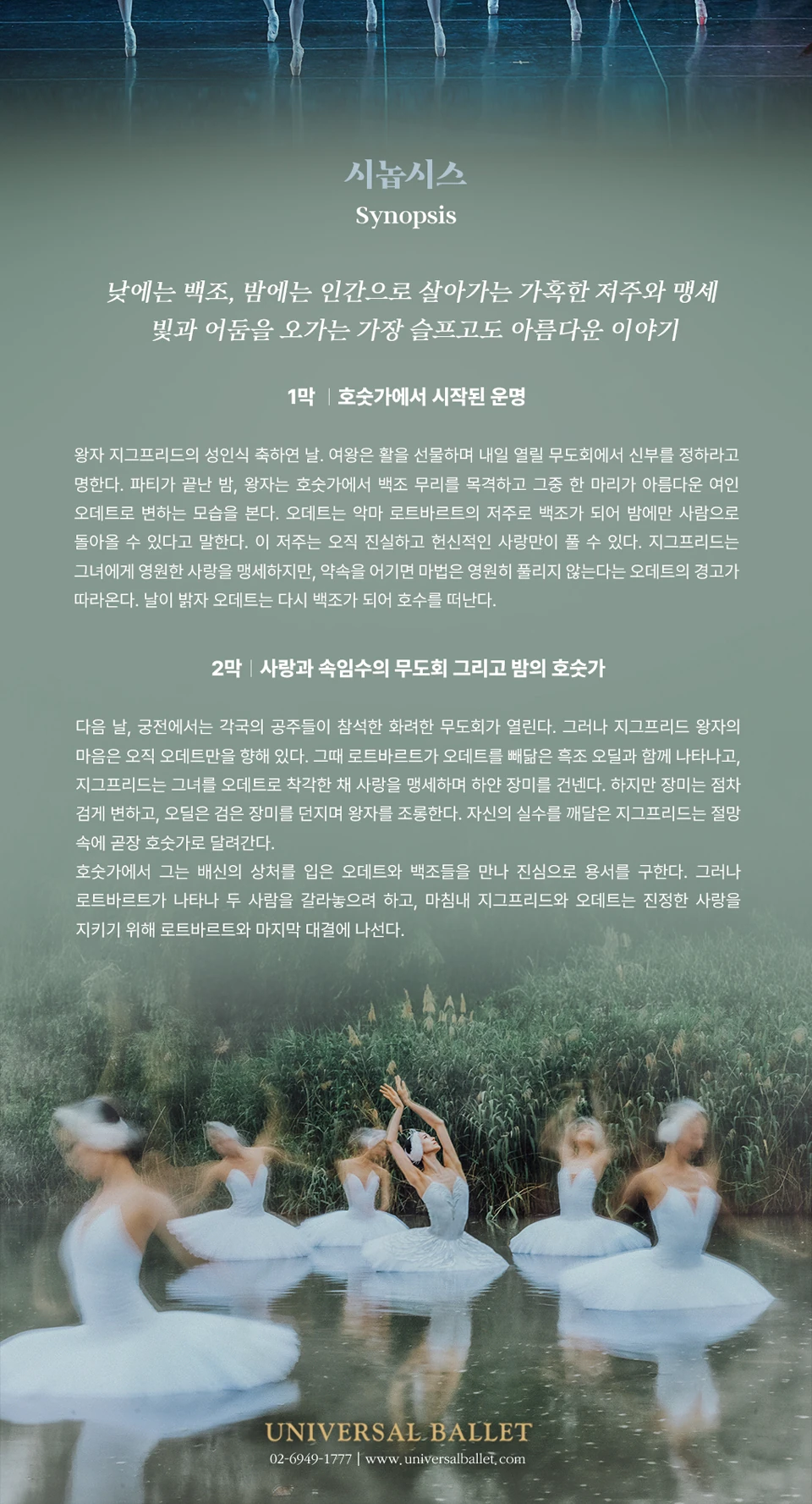 백조의 호수 공식 시놉시스 이미지