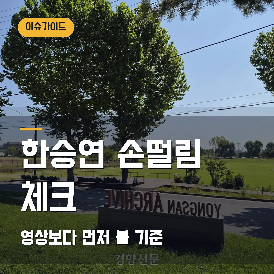 한승연 손떨림 체크 영상보다 먼저 볼 기준