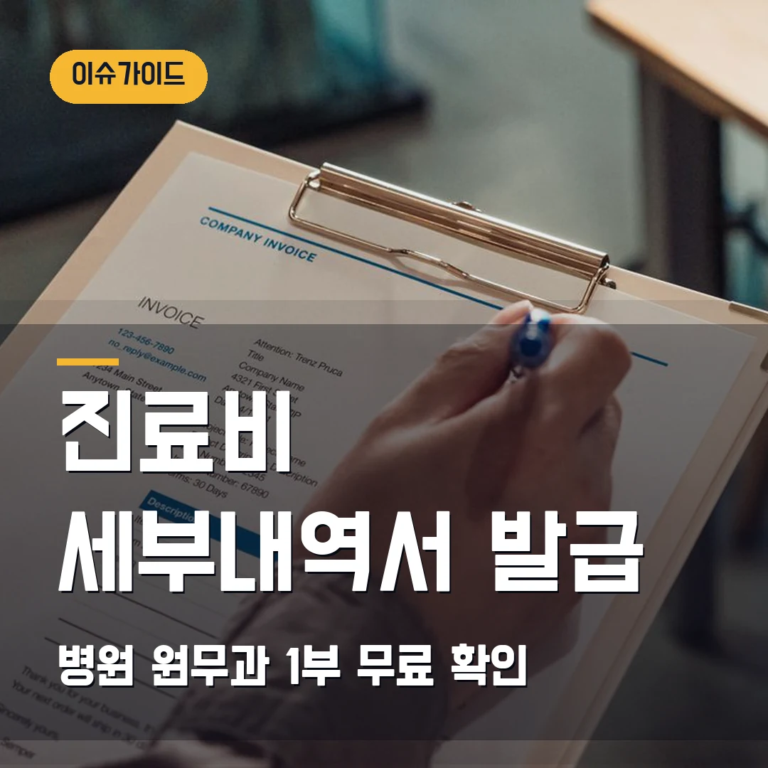 진료비 세부내역서 발급 병원 원무과 1부 무료 확인