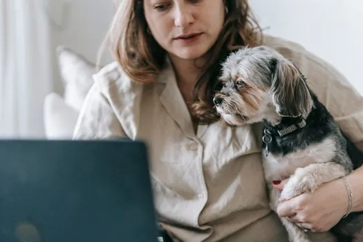 Korean dog owner reviewing pet registration certificate and microchip card beside laptop | 동물등록번호와 보호자 정보를 먼저 확인하는 장면