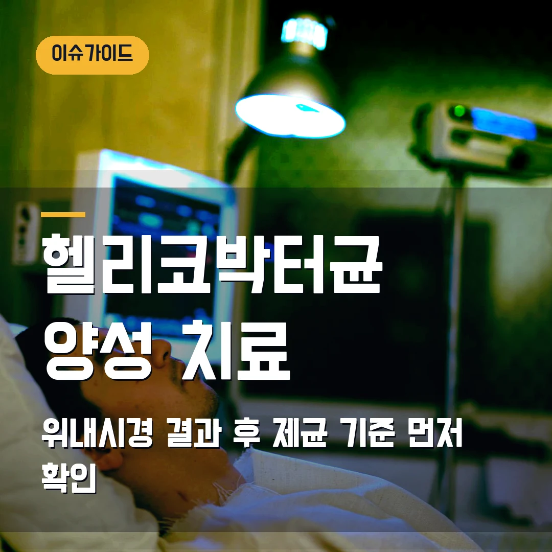 헬리코박터균 양성 치료 2026 — 위내시경 결과 후 바로 볼 제균 기준