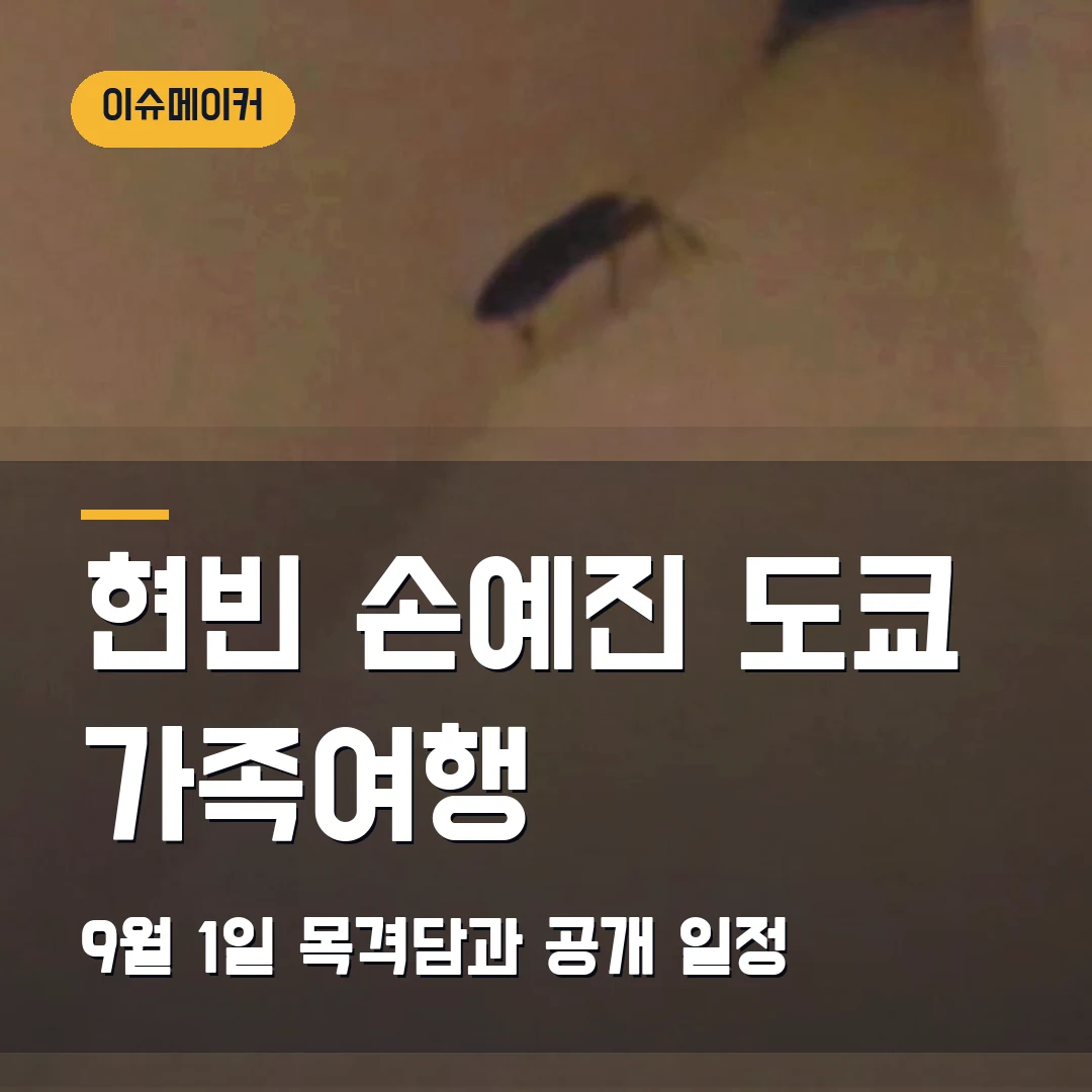 현빈·손예진 도쿄 가족여행 9월 1일 목격담과 공개 일정